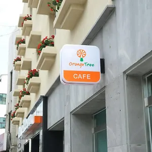 オレンジ ツリー ** 済州市